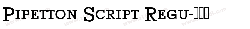 Pipetton Script Regu字体转换